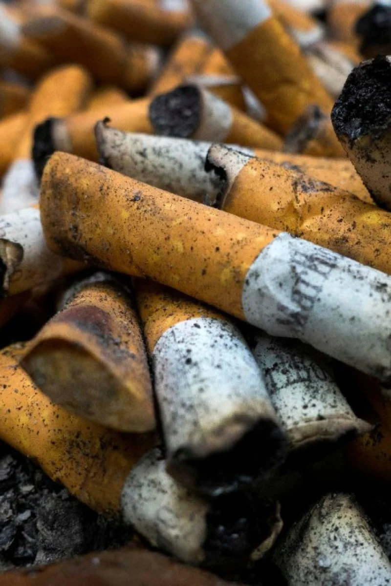 Microplastics in cigarettes